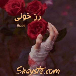 دانلود رمان رز خونی به قلم Rose فایل کامل