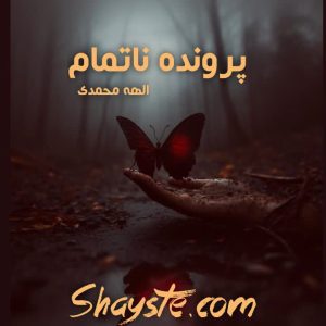 دانلود رمان پرونده ناتمام به قلم الهه محمدی